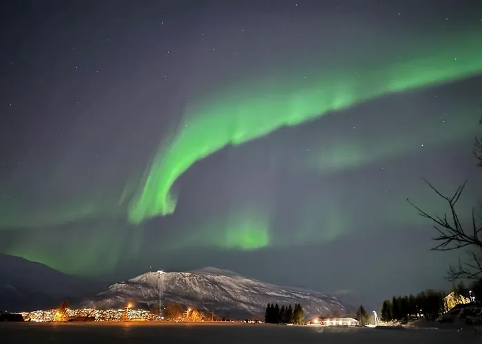 Arctic Nine - Nr 2 - On The Island * Tromsø